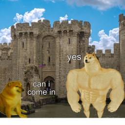 The Doge Castle