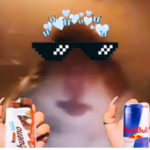 hamster cult group