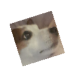The_max_clan