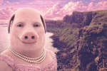 Hi TEAM ######## unicorn