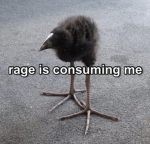 rage is consuming me
