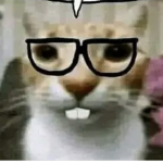 goofybawls