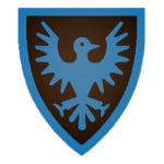 Blue Falcons Team