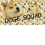 All doge United