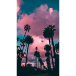 Aesthetic Beaches~