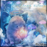 Adopt me cats <3
