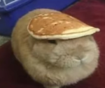 Glorpfiggle
