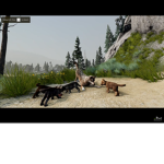 The moon pack wolf pack
