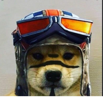 Rengade raider