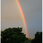 Sad Rainbows :(