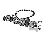 nicole necklace 3.0