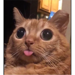 testing