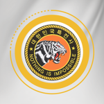 707th Special Missions Group [KR]