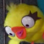 jjkjkjhkgiuky