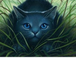 Forest Clan - Warrior cats Fan Club -