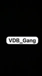 VDB_Gang