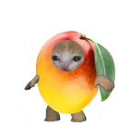 MANGOCATS