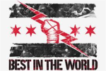 cm punk fan group