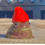 Aesthetic_frogs<3