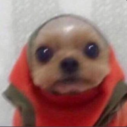(: