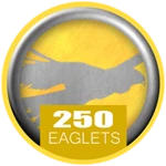 Game Badge Icon