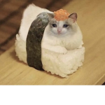 kolol