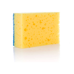 Sponge