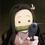 Nezkokamdo