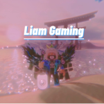 Liam Gaming fan group