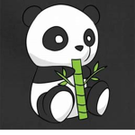 Panda Bois!