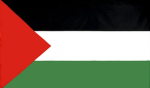 The Official Palestine Support Group
