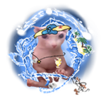 Bingus of the Sea