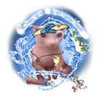 Bingus of the Sea