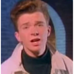 Never gonna give you up icon
