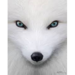 Animal fun clan!