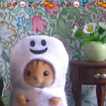 pookies!!