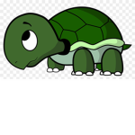 Turtle m8