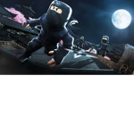 Roblox's Ninja team