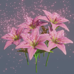 Lovely Lilly's