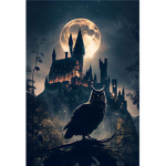 Harry Potter Fans Forever!