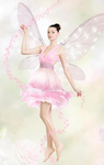 -Dreamland Fairies-