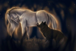 Ruby’s wolf pack