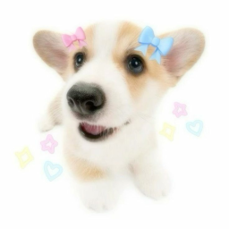 (≧∇≦)