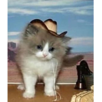 Kitty got the glock