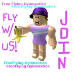 FreeFlying Gymnastics
