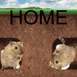 Home Christmas update soon