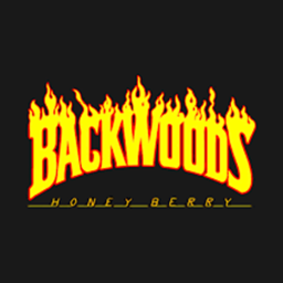 The BackWoods Family Condo)