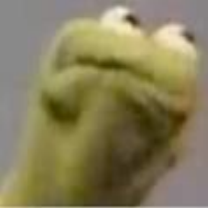 kermit meme face Roblox decal