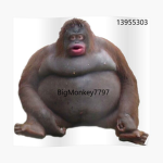 BigMonkey7797