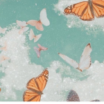 ..butterfly squad..